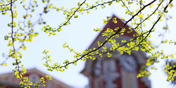 J9集团|国际站官网