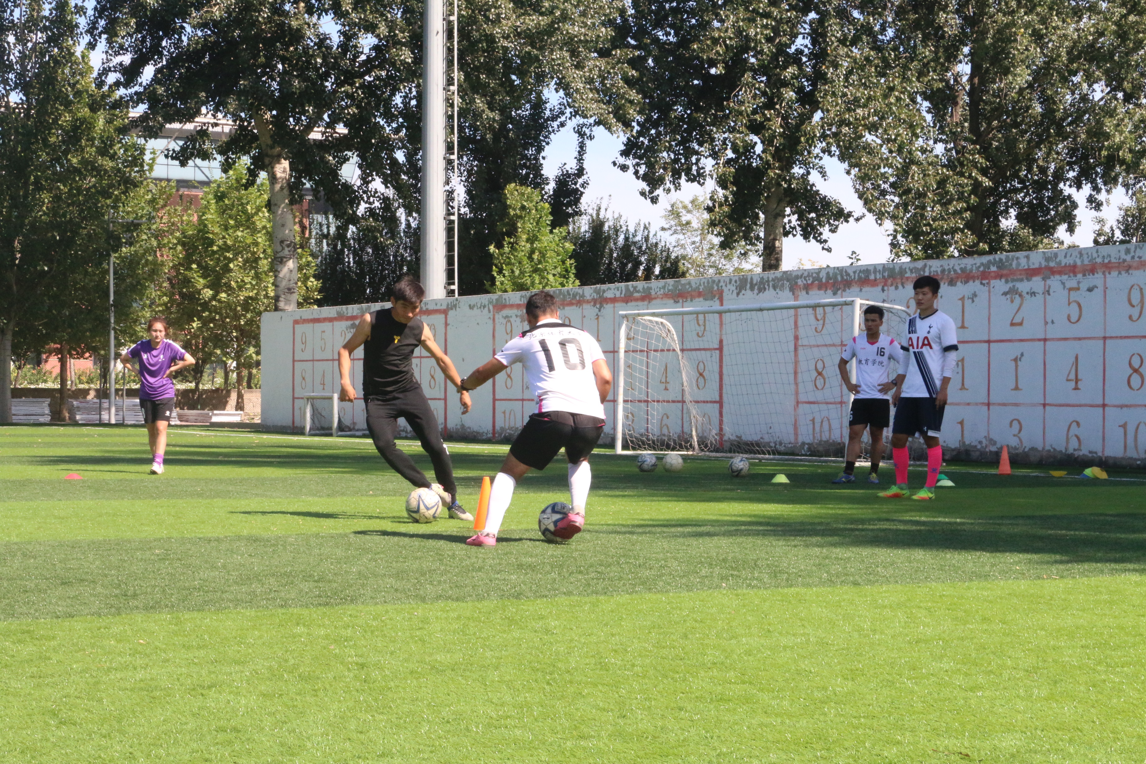 J9集团|国际站官网