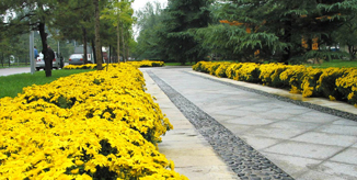 J9集团|国际站官网