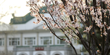 J9集团|国际站官网