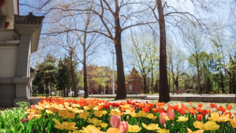 J9集团|国际站官网